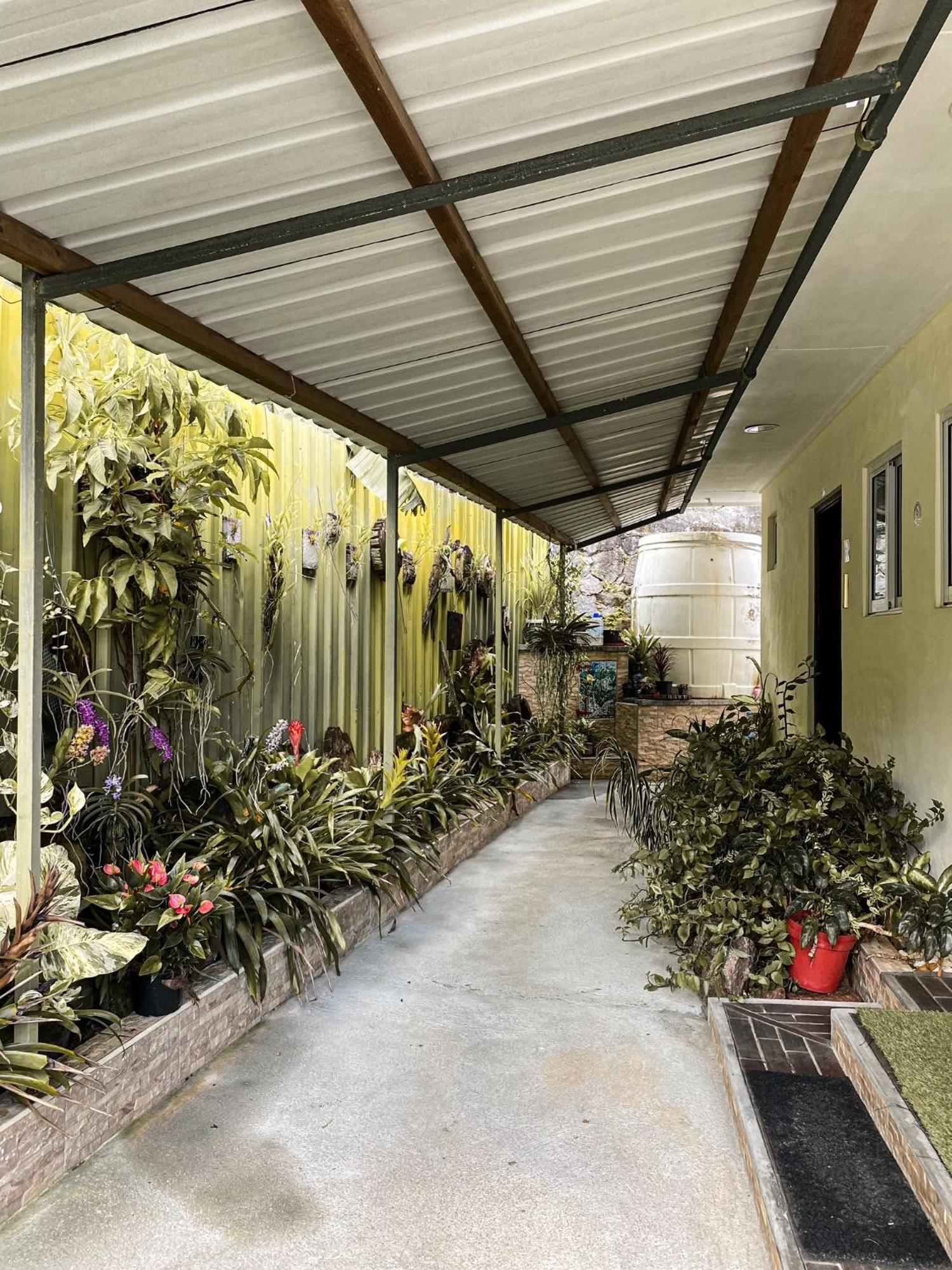 보발롱 Anse Norwa Self Catering 아파트 외부 사진